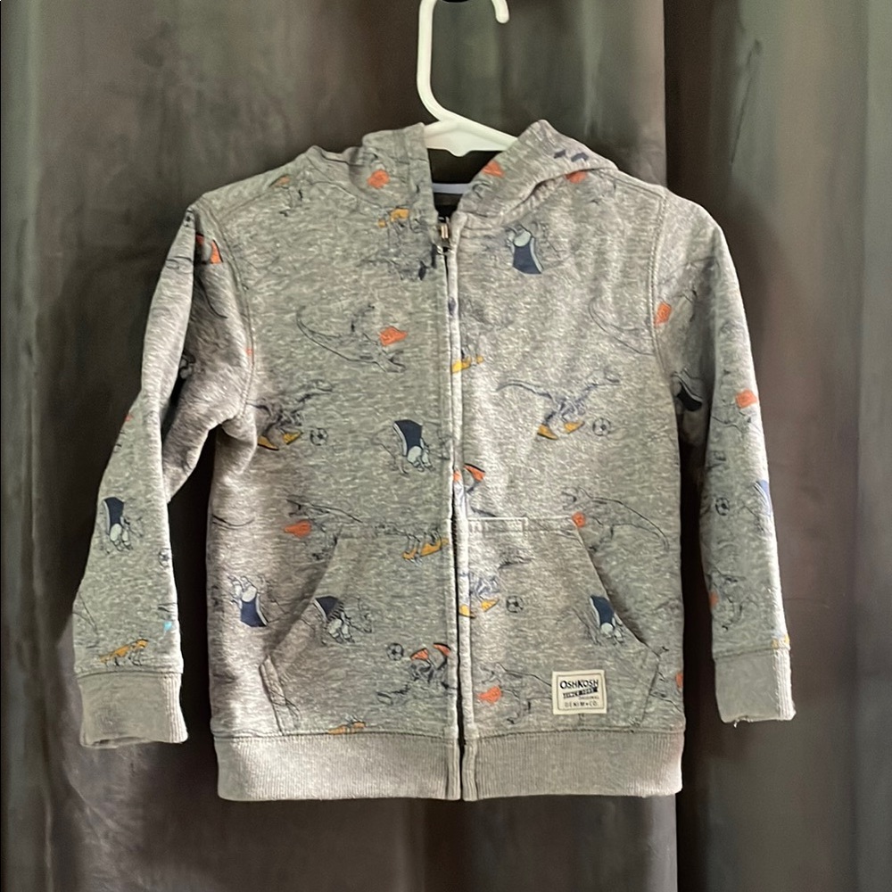 Kids Gray Hoodie with Dino Print